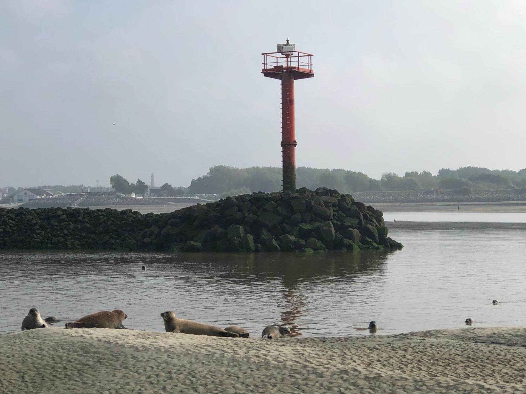 L'Escapade - Hardelot Plage - Parking Prive Neufchâtel-Hardelot Exteriör bild